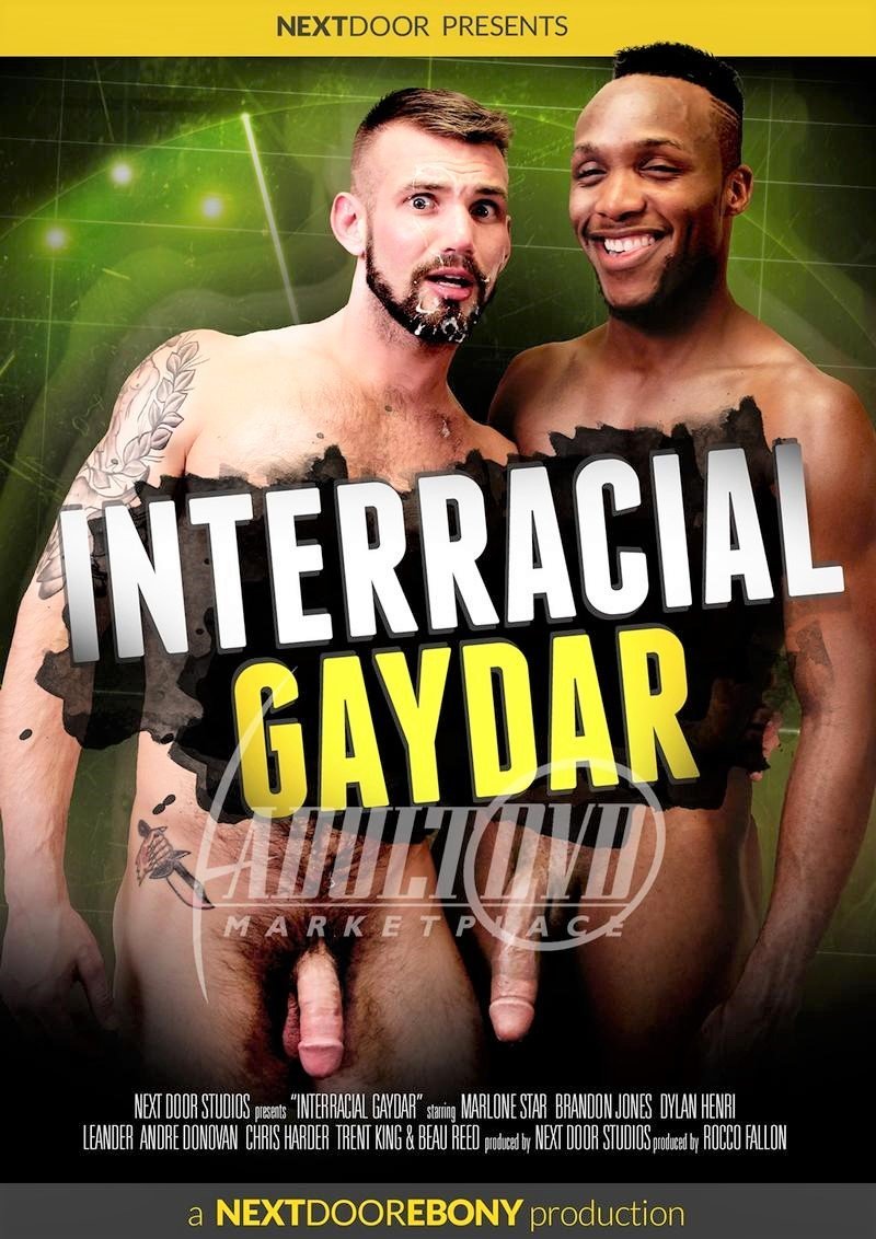 Interracial Gaydar