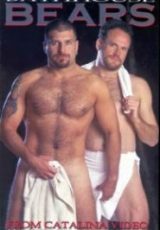 Bathhouse Bears