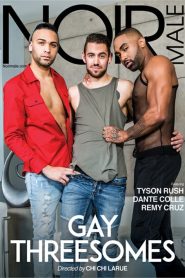 Gay Threesomes (Noir)