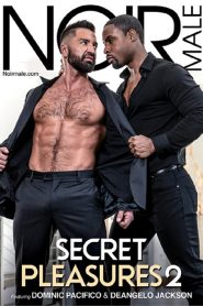 Secret Pleasures 2